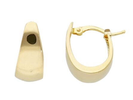 Gold earrings Code: 254961