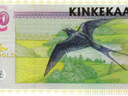 Kinkekaart